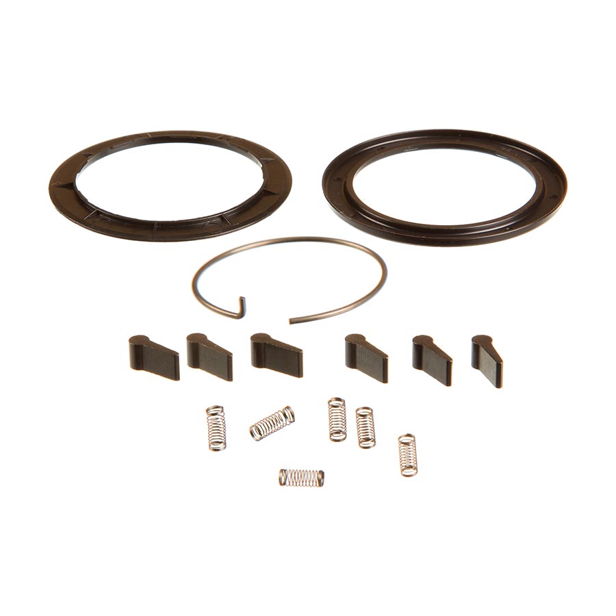 Zipp ZR1 Spring and Pawl Set