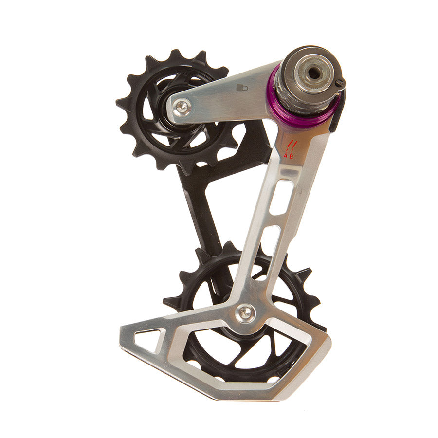 SRAM XX T-Type Cage Assy