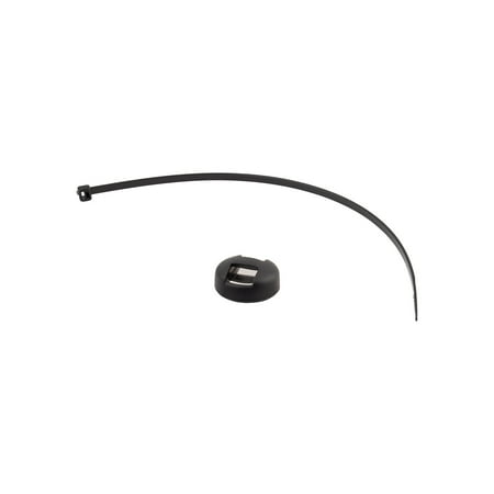 Cadence Magnet Cat Eye for Strada
