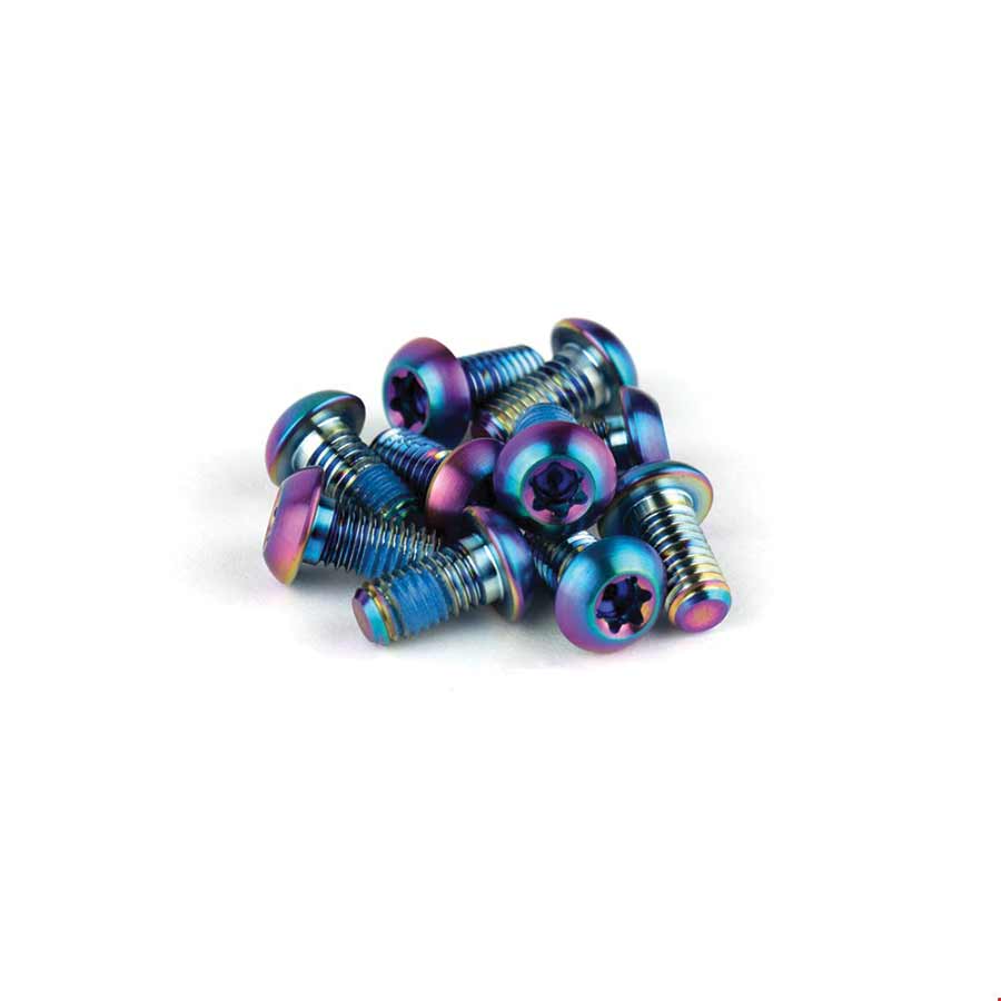 SRAM Titanium Rotor Bolts
