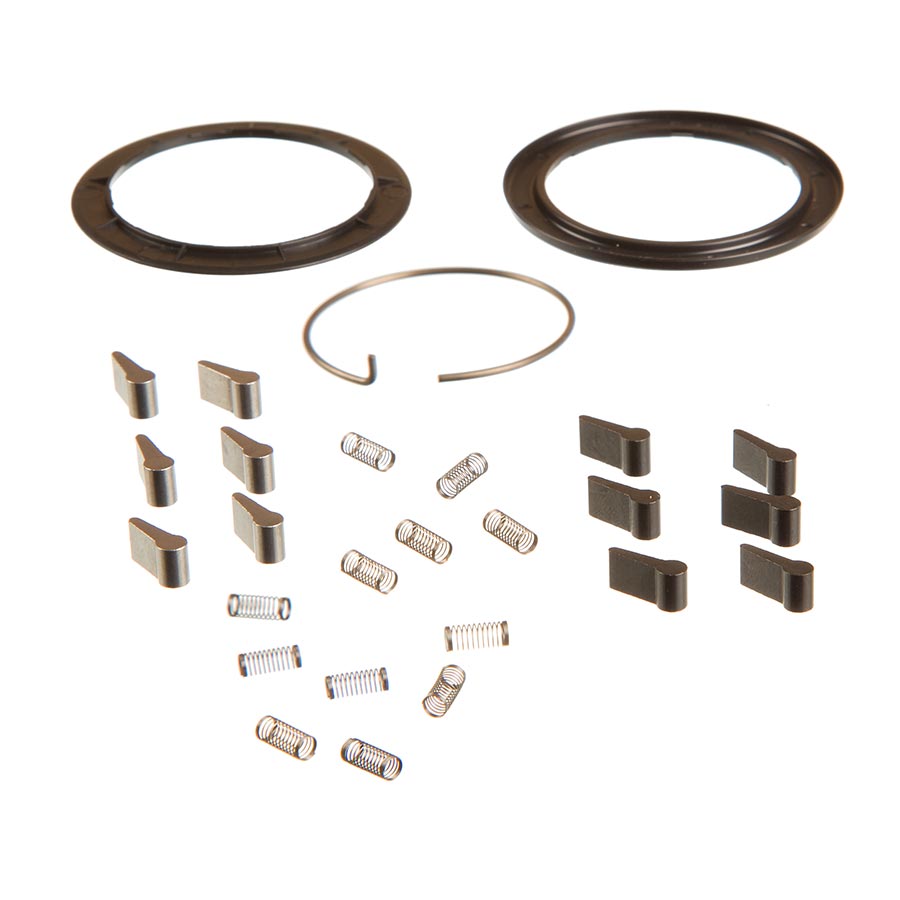 Zipp ZM2 Spring and Pawl Set