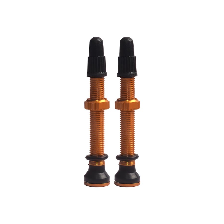 Evo Tubeless Valves