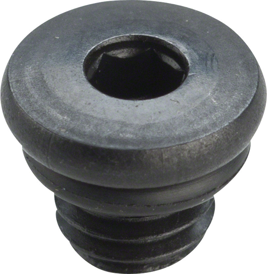BL-M988 BLEED SCREW & O-RING (EACH)