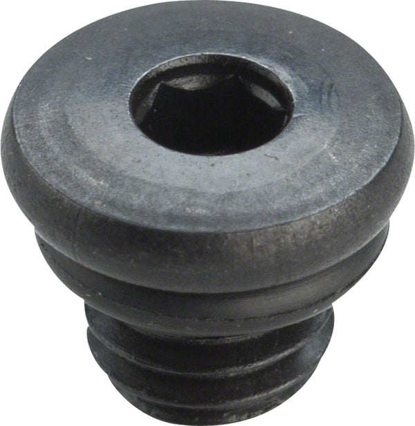 BL-M988 BLEED SCREW & O-RING (EACH)